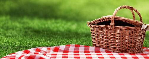 A picnic basket on a red and white checkered cloth photo