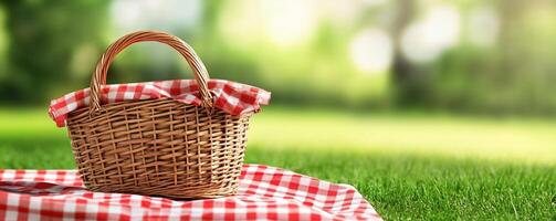 Picnic basket on grass with green background photo