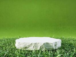 A white stone on grass with a green background photo