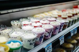 A shelf with many different types of yogurt photo