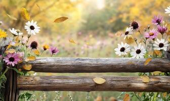 Autumn flowers on a wooden fence photo
