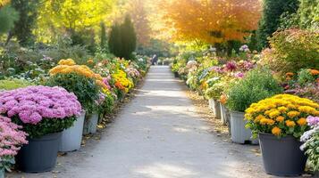 A pathway lined with colorful flowers in a garden photo