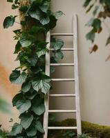 A ladder with plants growing on it in front of a wall photo