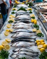 Fresh fish on display at a market photo