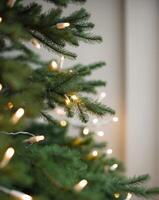 a close up of a festive tree with soft lights and foliage photo