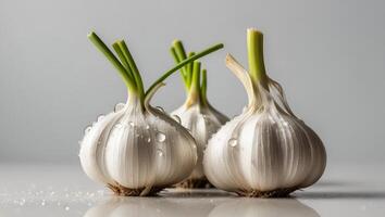 Close up of the vitality of freshly picked garlic photo