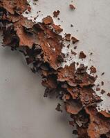 rusty metal corrosion rust texture macro closeup background photo