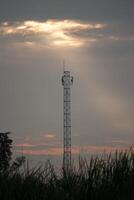 A cell tower in the middle of a field photo