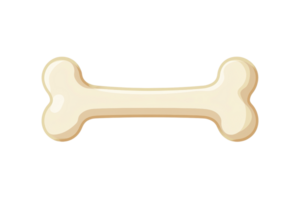 A stylized bone icon, featuring a smooth, rounded shape with a creamy color. png