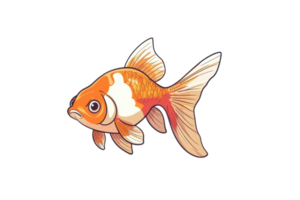 A colorful goldfish with distinct orange and white patterns, showcasing its fins and vibrant appearance. png