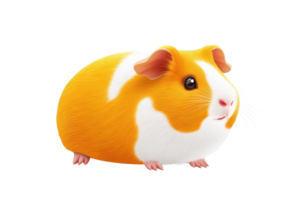 A cute, orange-and-white guinea pig with a round body and small feet. png