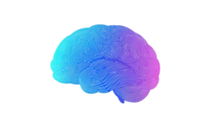 A vibrant, stylized representation of a brain showcasing intricate line patterns in shades of blue and pink. png