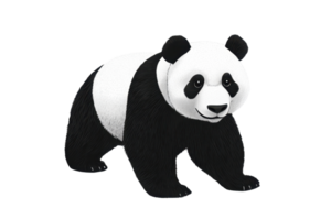 A cute, cartoon-style panda bear standing with a friendly expression, isolated on a transparent background. perfect for playful design projects. png