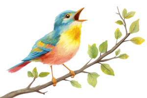 A colorful bird perches on a leafy branch singing joyfully. Vivid plumage and vibrant greens create a lively and natural scene. png