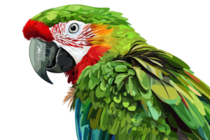 A vibrant, colorful parrot with green feathers and a striking red face, set against a transparent background, showcasing its detailed plumage. png