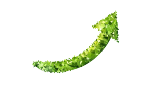 A vibrant green arrow made of leaf-like textures, symbolizing growth, sustainability, and progress, pointing upwards on a transparent background. png