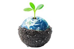 A small green plant sprouting from a soil-covered globe, symbolizing growth, nature, and environmental sustainability on a transparent background. png
