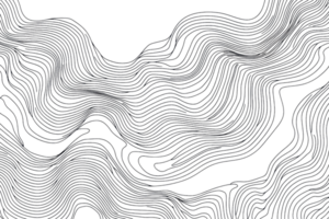 Abstract black and white line art with wavy patterns and intricate detail, creating a modern and sophisticated visual effect. png