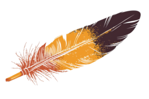 Close-up of a colorful feather with intricate patterns, showcasing vibrant hues and textures. Ideal for nature and art-themed collections. png