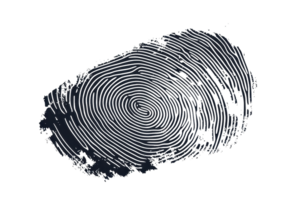 Close-up of a detailed fingerprint pattern on a transparent surface, highlighting individuality, security, and biometric technology. png