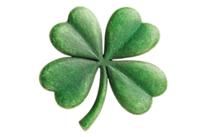 Close-up image of a green four-leaf clover symbolizing luck, fortune, and Irish tradition isolated on a transparent background. png