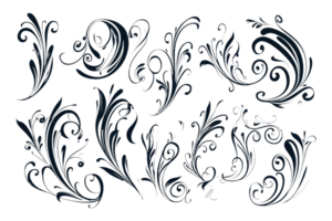Elegant collection of black floral swirls with intricate detailing, perfect for design and artistic projects. Decorative vintage elements. png