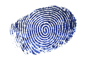 Digital fingerprint illustration showing detailed spiral patterns in vibrant blue, representing identity, security, and technology. png