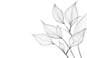 Elegant art showing delicate silver leaves on thin branches against a transparent background. ideal for design and decoration purposes. png