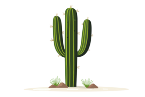 Illustration of a desert cactus with flowers, standing tall on sandy ground, representing resilience and natural beauty. png