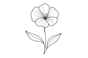 Minimalistic black line drawing of a single flower on a transparent background, emphasizing simplicity and elegance for artistic use. png