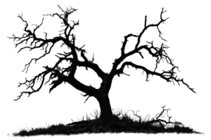 Silhouette of a leafless tree against a transparent background. capturing a stark and dramatic natural scene. png