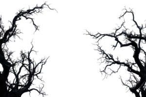 Spooky dark tree branches against a transparent background. creating an eerie and mysterious atmosphere perfect for Halloween decorations or themes. png
