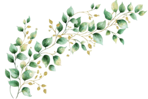 Watercolor illustration of a delicate green eucalyptus branch, perfect for natural and botanical designs with a soft, elegant touch. png