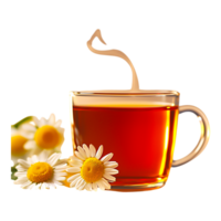 Freshly Brewed Herbal Tea in a Transparent Cup with Flowers png
