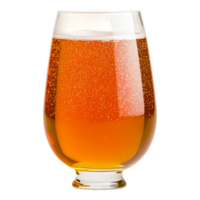 Refreshing Sparkling Drink in a Clear Glass png