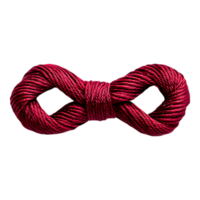 Infinite Loop of Red Twisted Rope Created in Closeup Perspective png