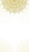 Simple Elegant Gold and White Floral Mandala Art Vertical Background with Intricate Hand Drawn Patterns Design vector