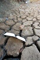 A piece of paper laying on the ground photo