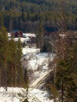 Wavy landscape at Tallhedsvagen near Norsjo in Vasterbotten, Sweden. The image has a special diagonal effect due to wavelet processing photo