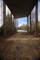 View under abandoned platform of old railway structure in Sweden photo