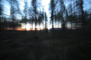 Conceptual shot with motion blur from zooming, in a Swedish forest photo