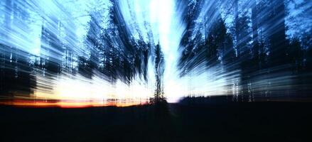 Conceptual shot with motion blur from zooming, in a forest photo