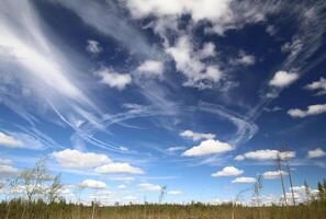 Vapor trails after military practice flights over forest photo