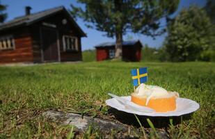Cake in the grass on the National Day of Sweden photo