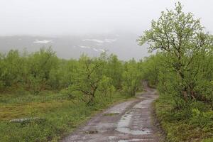 Road in bog at Nikkaluokta in Sweden on a rainy day photo