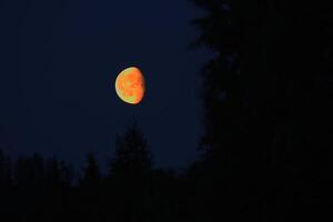 Waxing moon in vibrant orange color on night sky photo