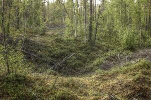 Remains of an ancient trapping pit near at the stream Skelleftalven in Vasterbotten, Sweden photo