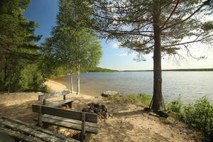 Sand beach at lake Vargforsdammen, a reservoir in the stream Skelleftealven in Northern Sweden photo