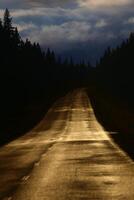 Conceptual image of Swedish road with golden reflections while the sky is dark blue photo