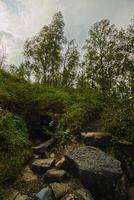 Entrance of the cave Marmorgrottan in Norway photo